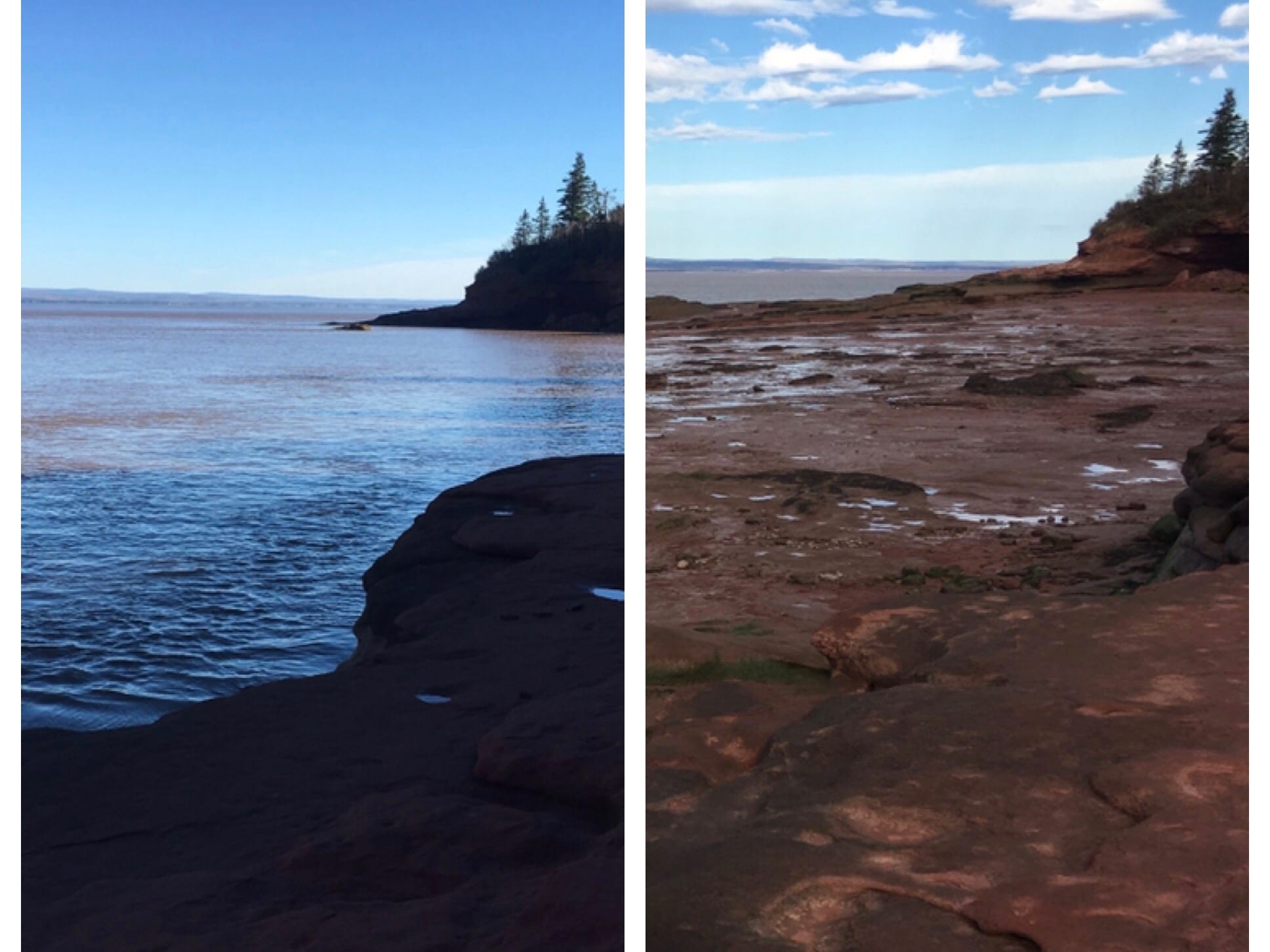 Bay Of Fundy Nova Scotia Canada October 2018 Leslie Abbott   IMG 7680 