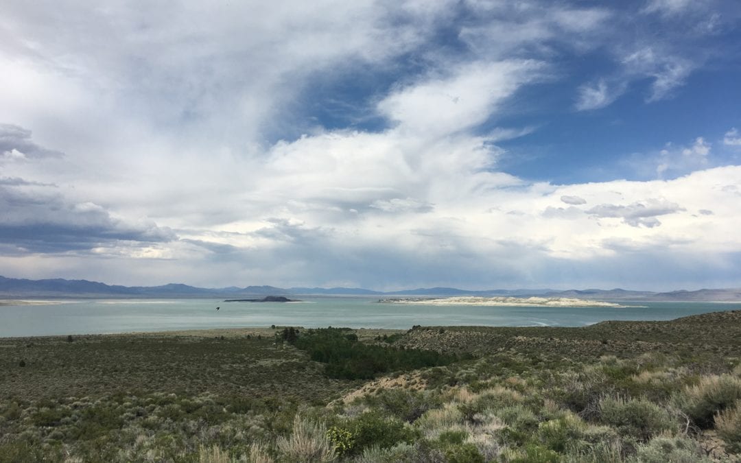 Mono Lake National Forest Scenic Area, California – June 2018